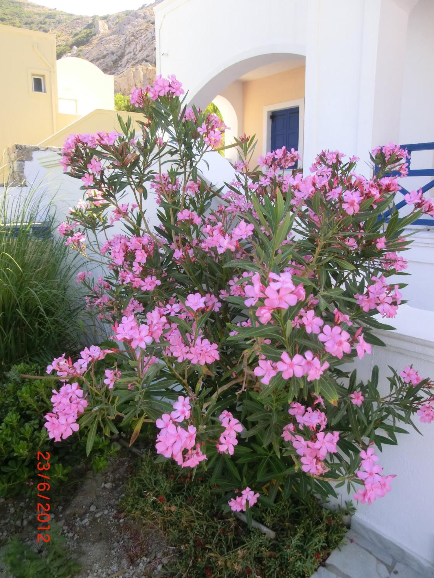 Aegean View Hotel Kamari  Exterior photo